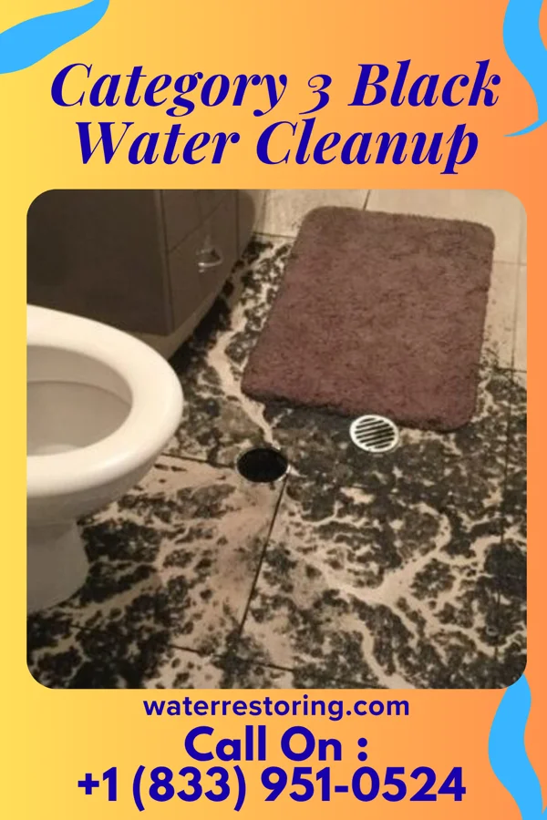 Category 3 Black Water Cleanup in Northville, SD