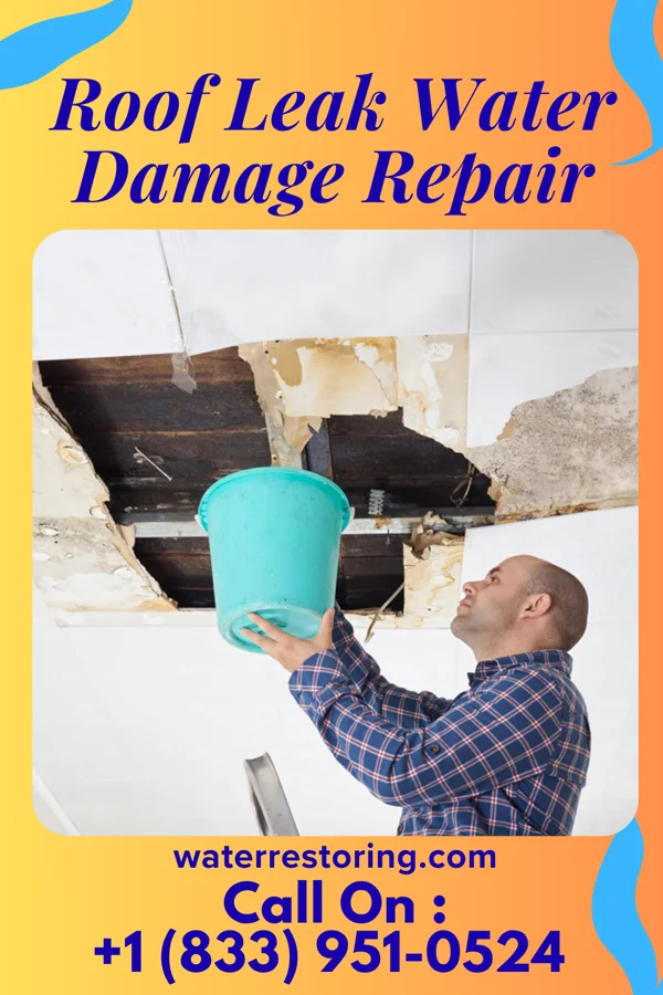 Roof Leak Water Damage Repair in Northville, SD
